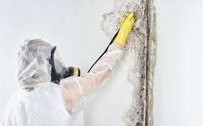 Best Forensic Mold Investigation  in Naples, FL